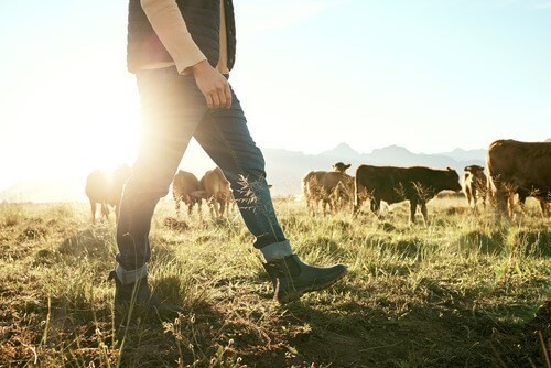 agriculture worker walking through a field